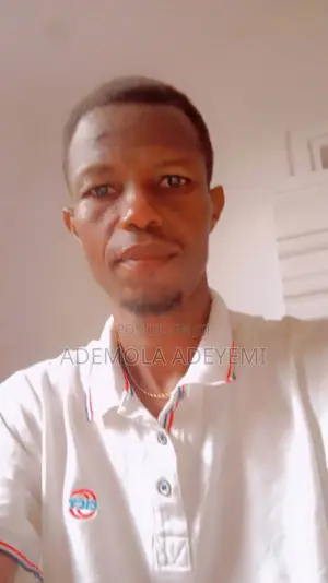 Mr Ademola Adeyemi