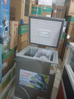 Snowsea Bd-158: Next-gen Polar Gear Chest Freezer