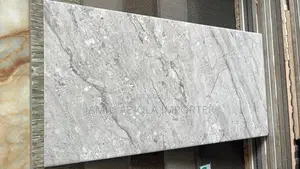 Toilet Wall Tiles 25x50 Size