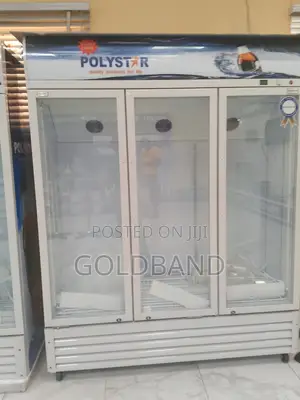 Polystar 1053l Showcase Chiller Designed for Maximum Cooling