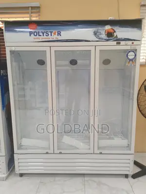 Polystar 1053l 3in1 Chiller: Your Business Cooling Partner