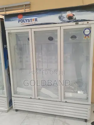 Showcase Your Products With Polystar 1053l 3in1 Chiller