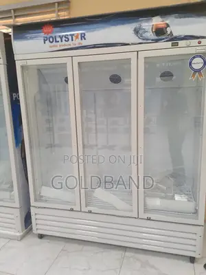 Polystar 1053l 3in1 Chiller: Keeping Fresh, Looking Sharp