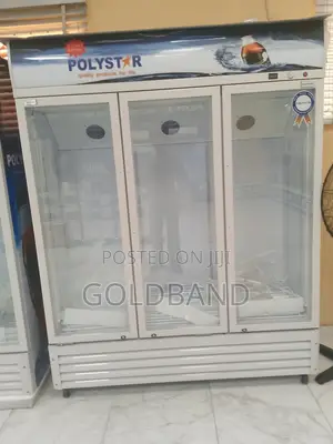 Polystar 1053l 3in1 Chiller: Keeping Fresh, Looking Sharp