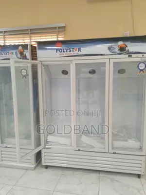 Polystar 1053l Chiller: The Power of Triple Door Cooling