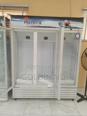 Polystar 1053l 3in1 Chiller: The Smart Choice for Business