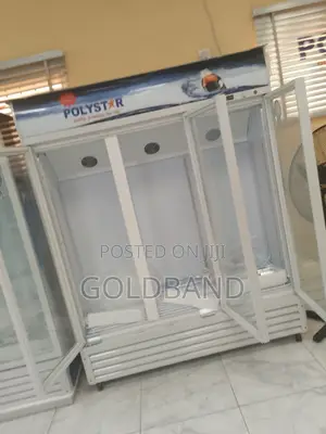 Polystar 1053l Chiller: Where Cool Meets Convenience