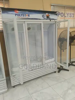 Polystar 1053l 3in1 Chiller: Cooling Beyond Expectations