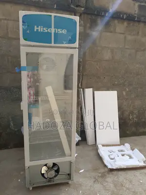 Oerfect Chiller For Retail - Hisense Refrigerator - Fl-30fc