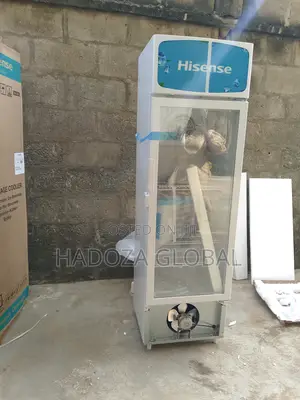 Energy-saving Showcase Fridge - Hisense Chiller - Fl30fc