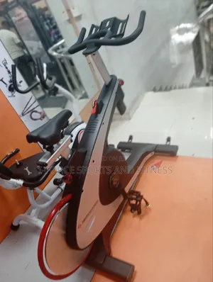 American Fitness Industrial Spinning Bike