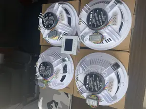 Tundra Ceiling Speakers  Big Magnet 