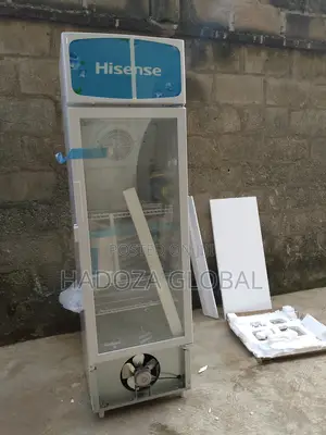 Transparent Door Vertical Chiller - Hisense - Fl-30fc