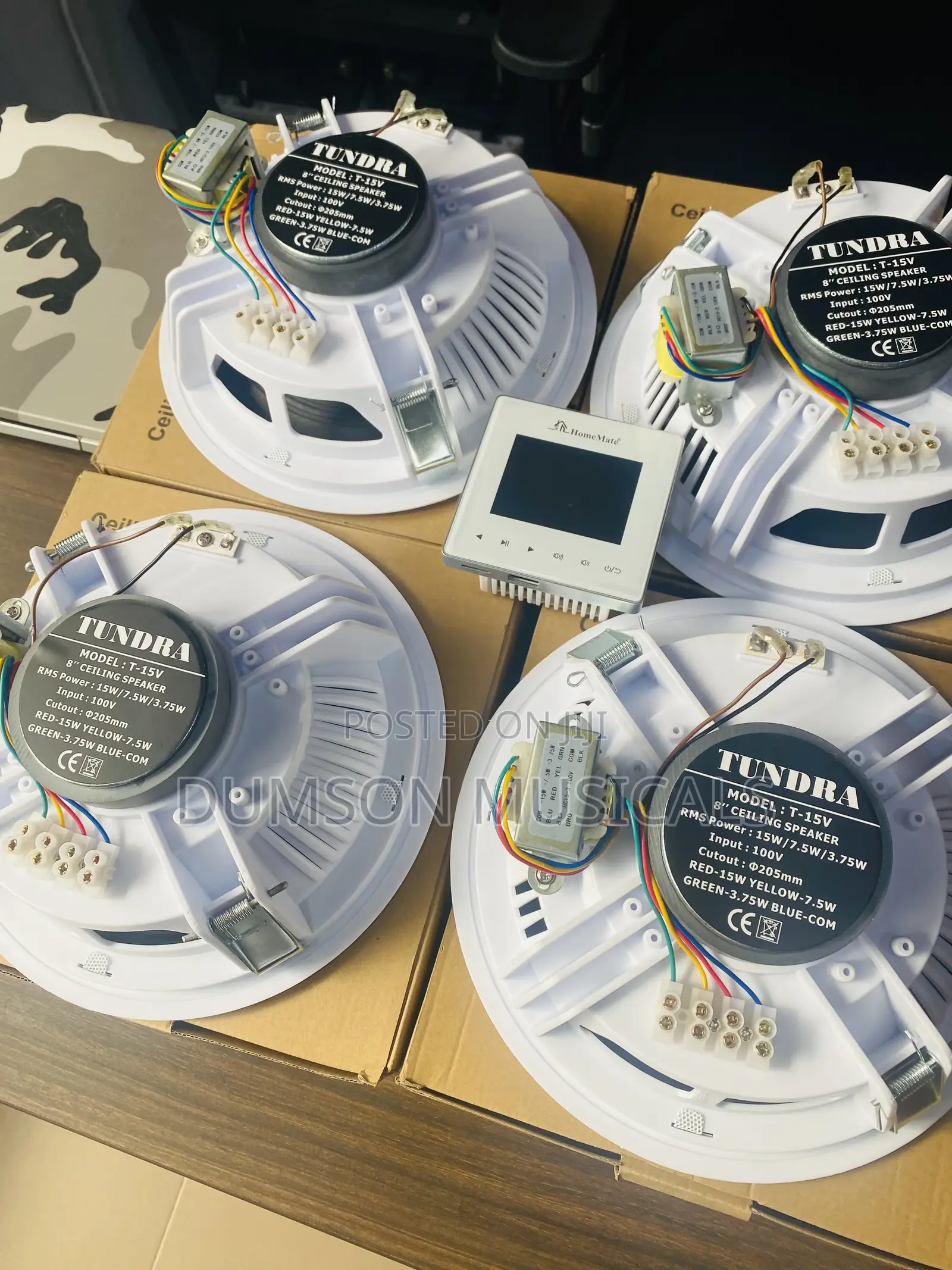 Tundra Ceiling Speakers  Big Magnet 