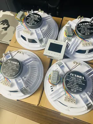 Tundra Ceiling Speakers  Big Magnet 