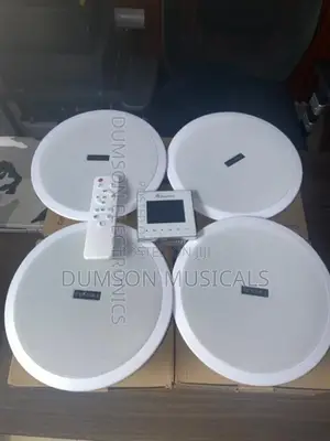 Tundra Ceiling Speakers  Big Magnet 