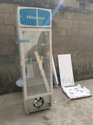 Chiller Fridge For Supermarkets - Hisense 222 L - Fl-3ofc