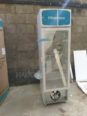 Chiller Fridge For Supermarkets - Hisense 222 L - Fl-3ofc