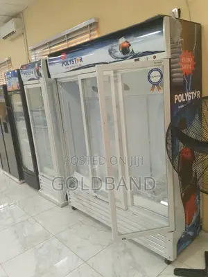 Polystar 1053l 3in1 Showcase Chiller: The Smart Way to Chill