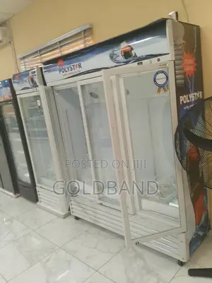 Polystar 1053l Chiller Cooling for Unmatched Performance