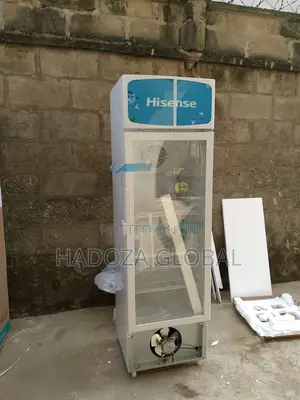 Glass Panel Hisense Refrigerator Unit - Fl-30fc