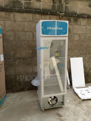 Premium Standing Commercial Dispaly Unit - Hisense - Fl-30fc