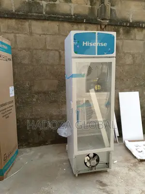 Premium Standing Commercial Dispaly Unit - Hisense - Fl-30fc