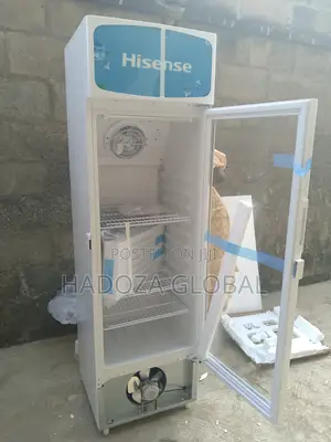 Elegant Finish Retail Chiller - Hisense - 222 L - Fl-30fc