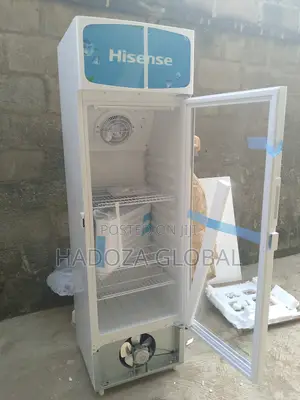 Top Choice For Beveragr Display - Hisense Chiller - Fl-30fc