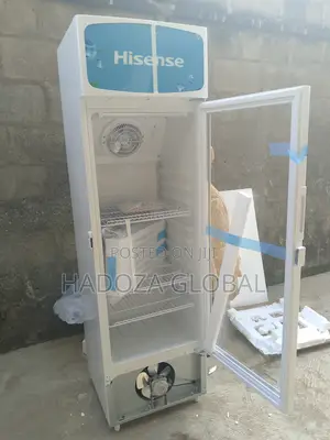 Quality Vertical Cooling Unit - Hisense Fridge - Fl-30fc