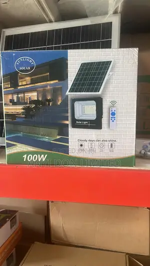 100w Flood Light