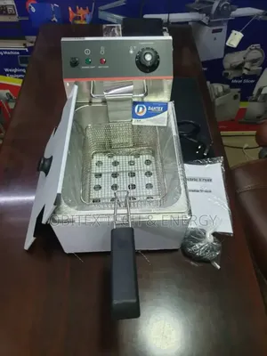 Single Basket Electric Fryer