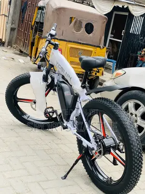 Luxury Electric Bicycle