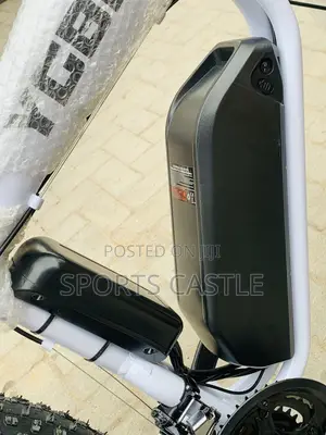 Electric Bicycle