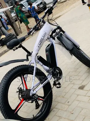 Electric Bicycle