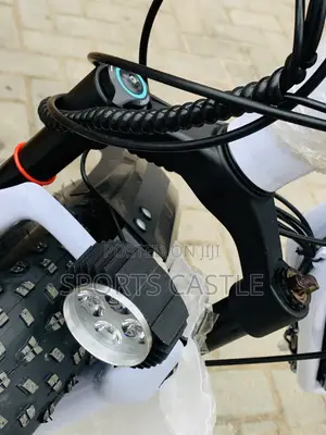 Luxury Car Electric Bicycle