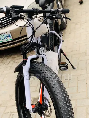 Luxury Car Electric Bicycle