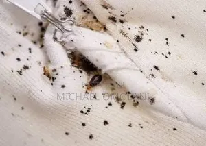 Fumigation Expect Fadeyi