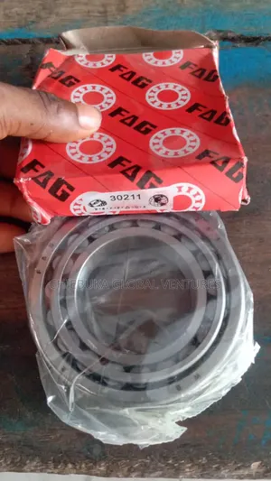 Fag Motor Bearing