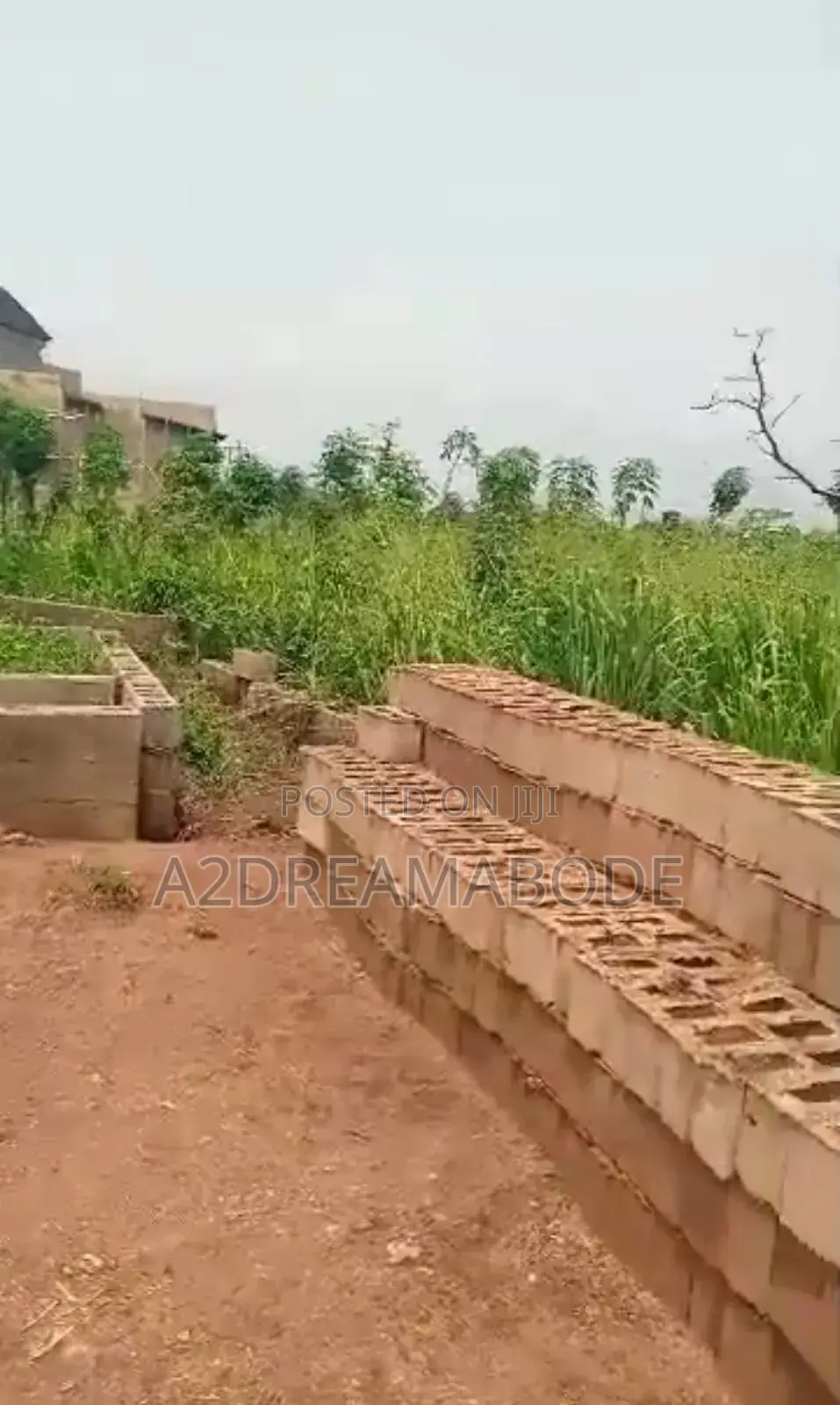 Standard Prime Plot