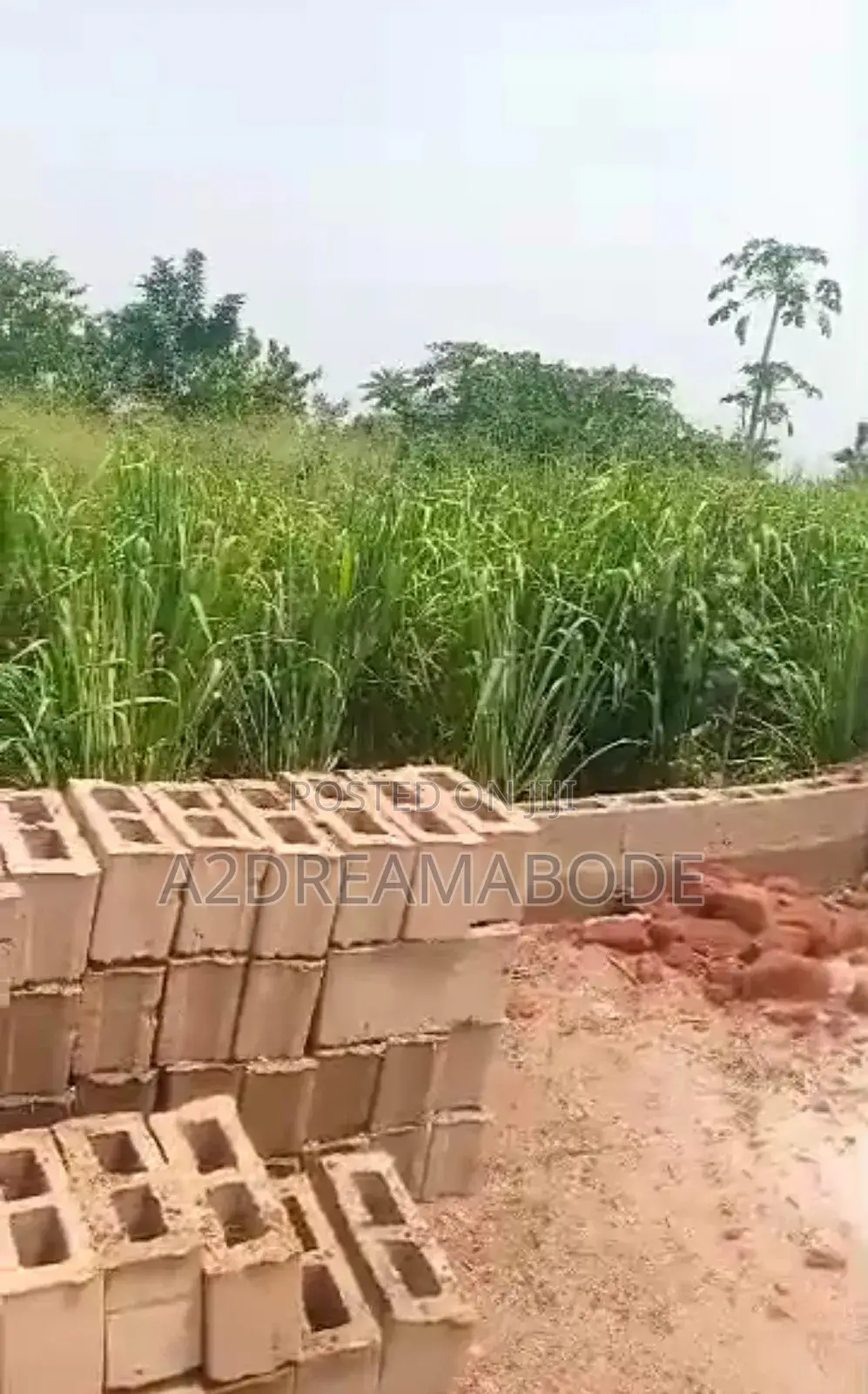 Standard Prime Plot