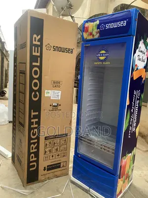 Snowsea 400l Display Cooler – Ideal for Grocery Stores