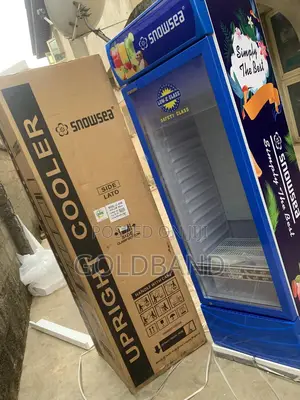 Snowsea 400l Display Cooler – Ideal for Grocery Stores