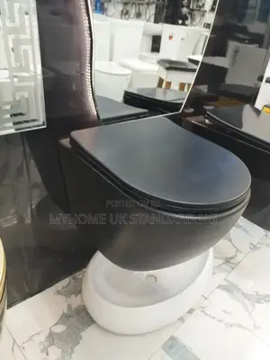 Black England Wall Hung Water Closet With Tank