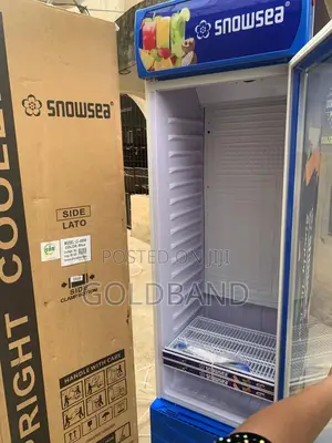 Snowsea 400l Display Cooler – Energy Efficient Model Lc-400