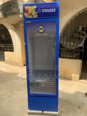 Upright 400l Fridge – Snowsea Display Chiller Lc-400
