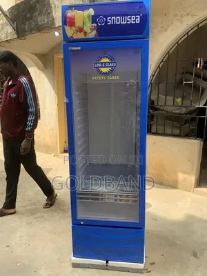 Snowsea Lc-400 400l Glass Door Display Refrigerator