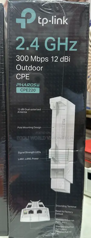 Outdoor Access Point