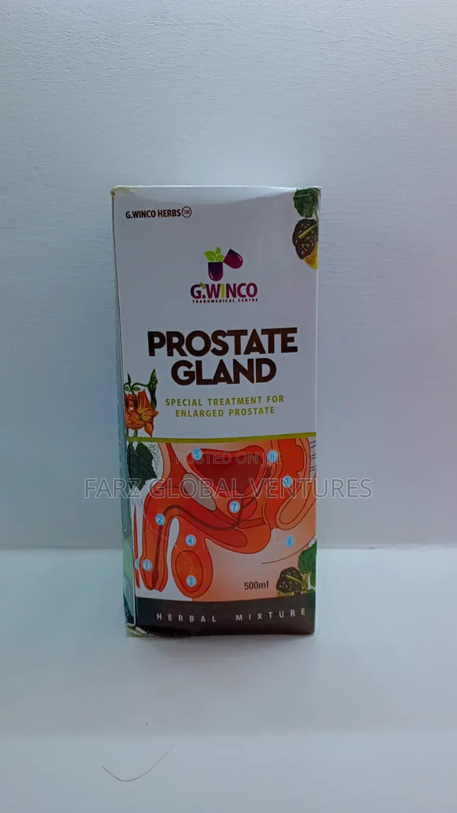 G.Winco Prostate Gland