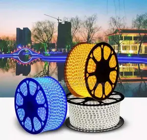 Vellmax Ropelight (Complete 50meters)
